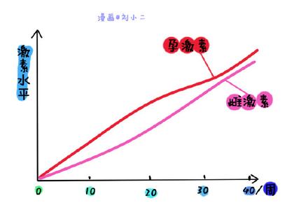 雌激素分泌旺盛的表现 怀孕后雌激素分泌增多的表现