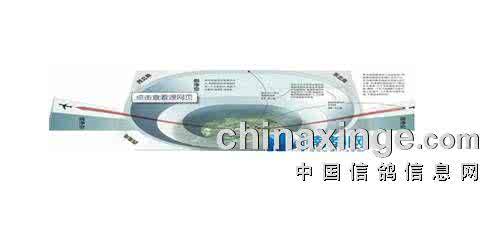 机场净空区如何防鸟 飞机场净空区