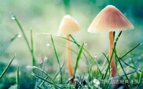 不要指望别人帮助你 不要指望别人,你应该停止期待的9件事