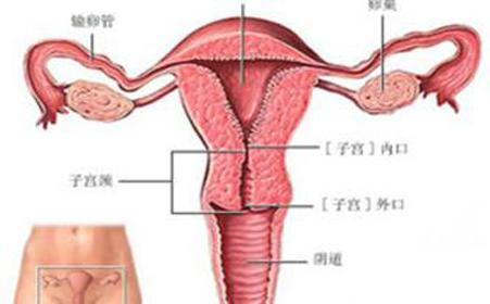 附件炎疼痛的症状表现 附件炎症状表现 附件炎的几大症状表现