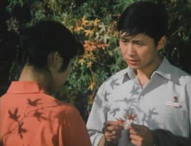 中国怀旧经典老电影枫 《枫》(1980)-怀旧电影
