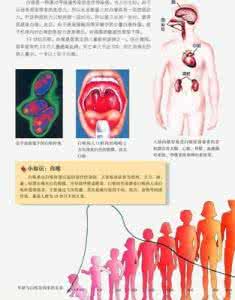 稀释血液的食物 中医：“三降丸”有稀释血液、降低血脂、溶化血栓之用-头条网