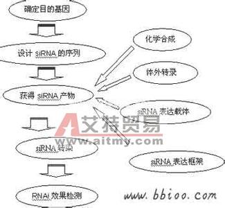 技术路线和实施步骤 研究思路 研究思路、研究方法、技术路线和实施步骤_研究思路