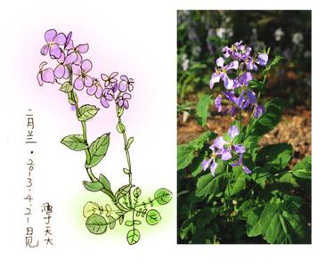 黄四娘家花满蹊 黄四娘家花满蹊整首诗 【诗艺花蹊】 对仗的技巧和避忌