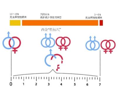 社会性别形成的因素 同性恋形成与社会因素有关