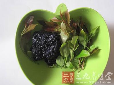 南烛叶乌米饭 南烛叶 取南烛叶汁制成的纯天然乌米饭的做法,取南烛叶汁制成的纯天然乌米饭怎么做好吃,取南烛叶汁制成的纯天然乌米饭的家常做法