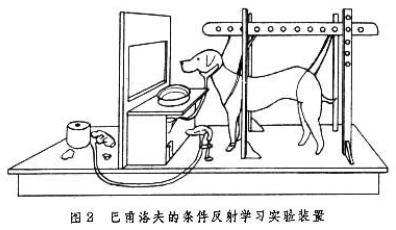 经典条件反射学说 经典的条件反射说