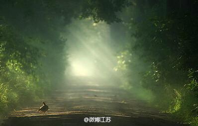 用平常心看待当下生活 用平常之心，过想要的生活