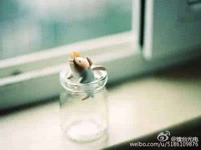 要一直幸福下去的说说 一直善良下去，总会离幸福很近