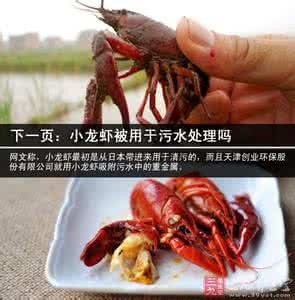 小龙虾食用方法 小龙虾能吃吗 食用后对人体会有哪些影响