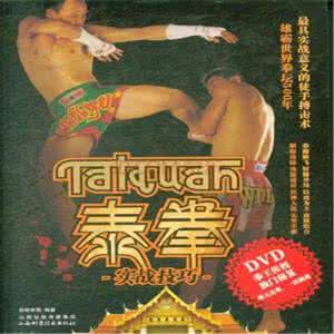 泰拳实战技巧 泰拳实战技巧视频教程