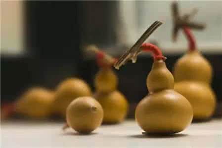 家里种葫芦好吗风水 【风水】葫芦里的风水,不得不看!