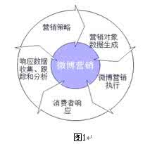 如何制定营销策略 营销策略制定 第十三章 网络营销模式中的策略制定