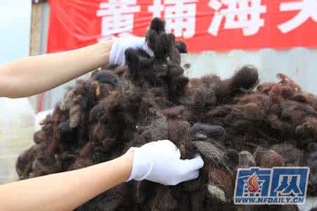 上网产生的垃圾在哪里 头发里的垃圾是怎样产生的