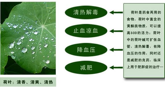 茯砖的功效 茯砖的功效与作用