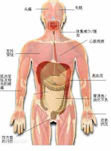 寒湿体质的症状 寒湿体质的症状 寒湿的病症解析