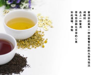 菊花普洱茶功效与禁忌 菊花普洱茶的功效与作用