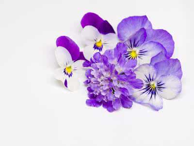 各种花朵的钩法图解 漂亮的紫色花朵钩法