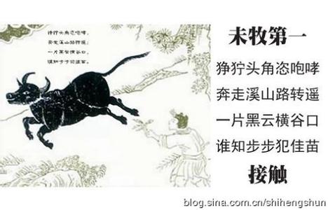 盲忙茫的哲理 【禅宗哲理】坐一日胜千年忙（图）