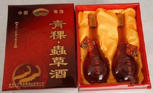 补肺益气 药酒大全 益气补肺的虫草壮元酒