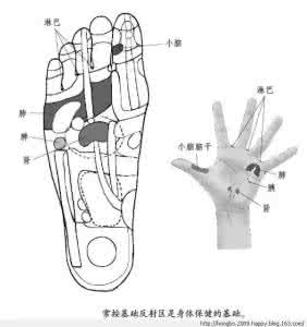 口臭看出身体内部疾病 调节身体疾病的穴位??