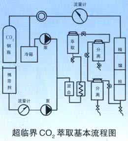 详述啤酒生产工艺流程 详述啤酒生产工艺流程 详述红豆杉及其相关内容