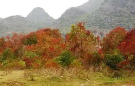 桂林景色 桂林最美风景，12个月，12种景色