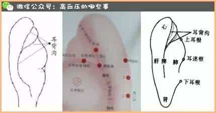 高血压按摩降压方法图 高血压按摩穴位法