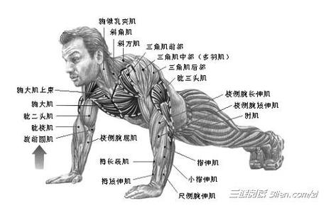 驻颜术修五官方法 男人驻颜长寿的方法