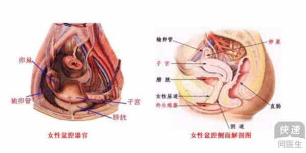 慢性盆腔炎的临床表现 症状:慢性盆腔炎临床表现