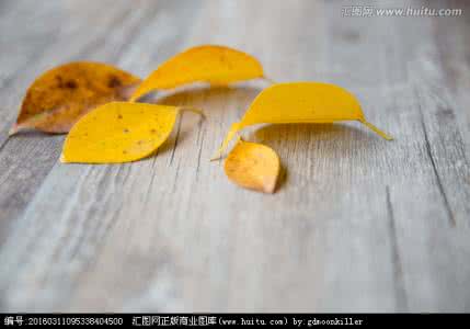 如何拍摄马路落叶照 【文艺】落叶这么拍,让你看起来逼格爆表!