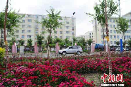 乌鲁木齐水磨沟区花店 乌鲁木齐水磨沟区花店 乌鲁木齐水磨沟区装修公司大全