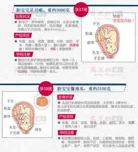 产检报告解读 一图解读：产检必过13道关  都查什么？