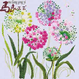 花卉刺绣图案365 花卉简单绣