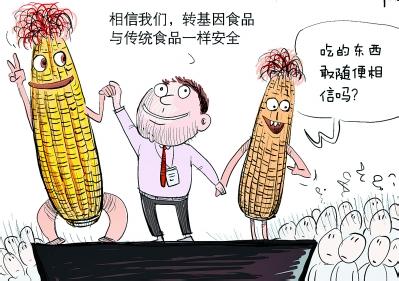 转基因安全性的争议 转基因安全性的争议 转基因玉米的简介和安全性争议