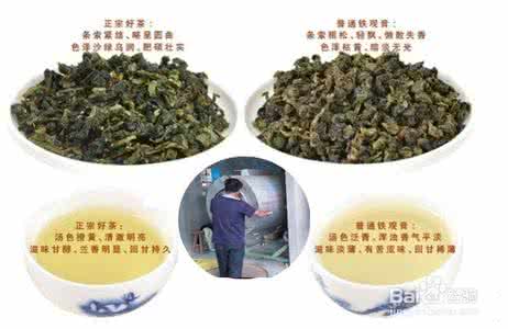 铁观音鉴别 五个鉴别铁观音优劣的基本办法