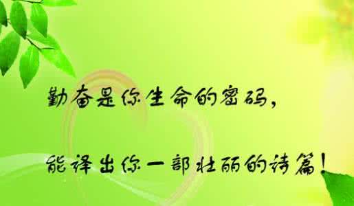 成功的秘诀 成功的秘诀 教育的成功秘诀