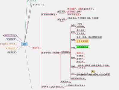 品质提升改进方案ppt 品质提升改进方案ppt 改进讲评方式 提升思维品质
