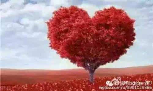 妇人之仁和善良的区别 人，有时候别太善良