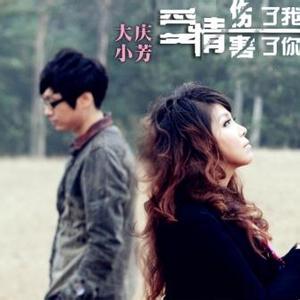 爱情伤了你爱情害了我 爱情伤了你爱情害了我