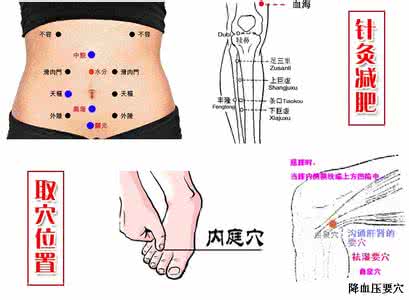 痰湿型肥胖怎么减肥 图文:女性痰湿型肥胖症的治疗秘方