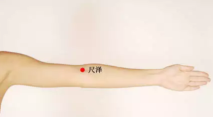 手臂上有个补肾穴，它的名字叫“尺泽” 