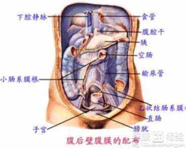 左下腹疼痛 左下腹疼痛 左下腹痛
