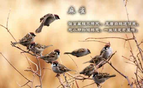 剑三古风惊艳id 【转载】那些惊艳了5000年的古风诗词，美得让人窒息!!