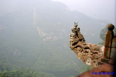 灵魂兽鹿怎么上悬崖 悬崖壁上的魂灵