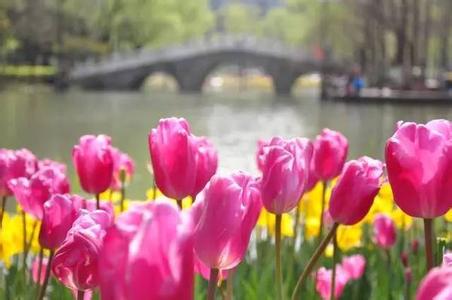 教育无小事 你怎么看待教育无小事 家庭教育的9件小事,你做对了吗?