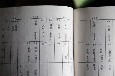 飞花令的由来 令完成 令计划、令完成名字由来