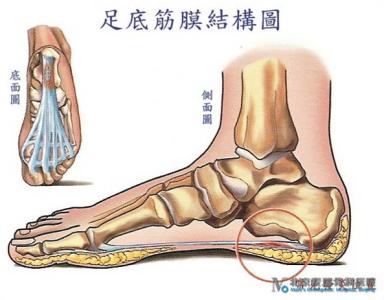 筋膜炎的症状及治疗 筋膜炎的症状 筋膜炎怎么治