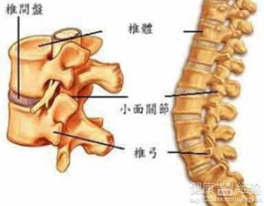 椎体压缩性骨折治疗 椎体压缩性骨折 椎体压缩性骨折如何治疗