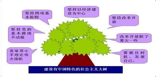 中国特色社会主义经济 中国社会主义经济建设